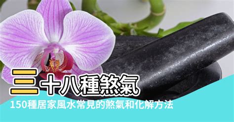 蛇煞化解紅紙|【風水化解】150種居家風水常見的煞氣和化解方法 